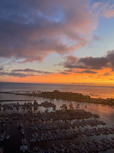 Meet your Posher, Mackenzie